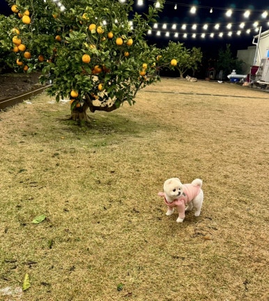 사계2248 이미지