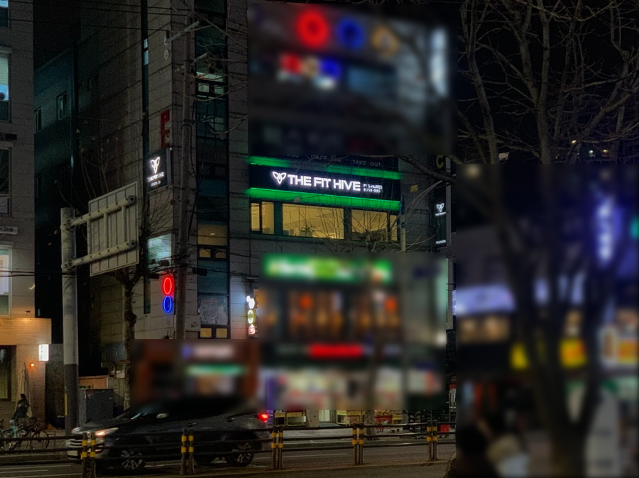 더핏하이브 이미지