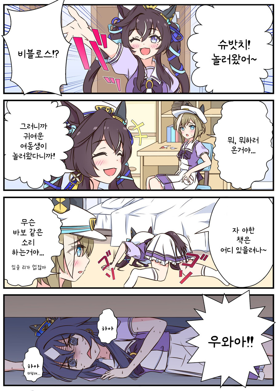 슈발 이미지