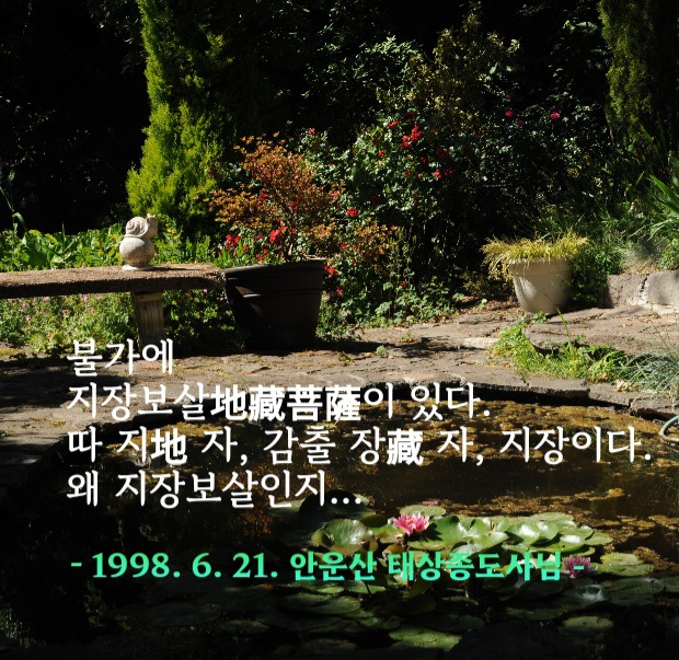 지의진 이미지