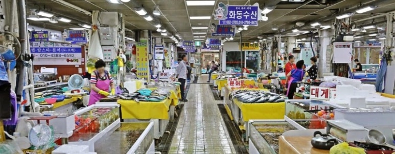 시장복어 이미지
