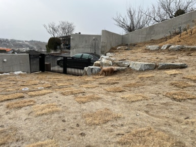 스테이루비 이미지