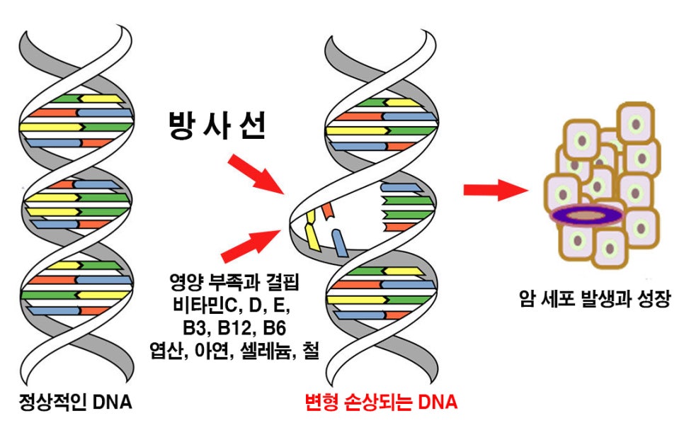 제노메딕스 이미지