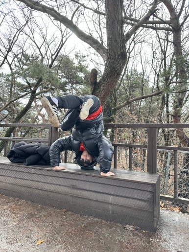 플라잉몬스터즈 이미지