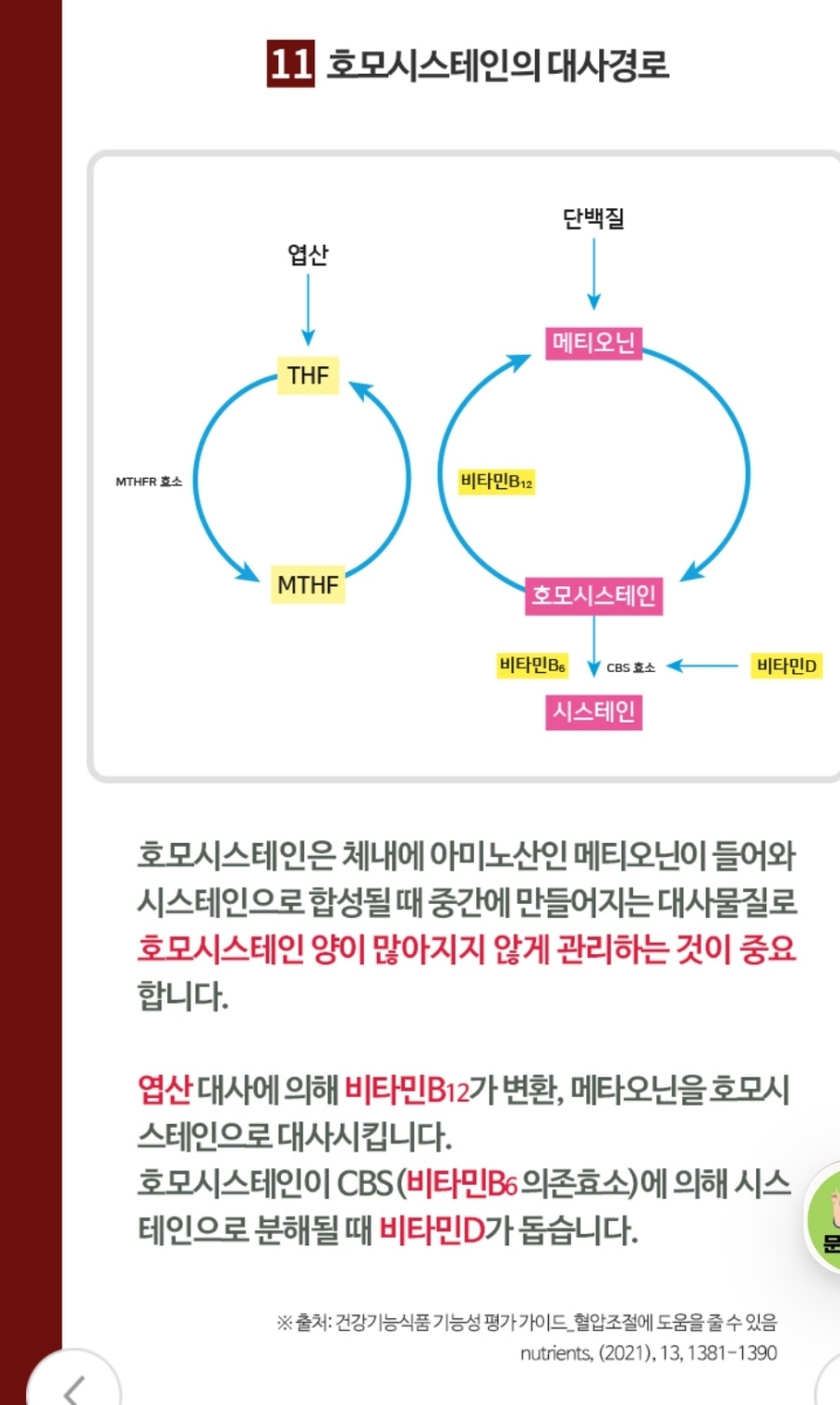 블루션 이미지