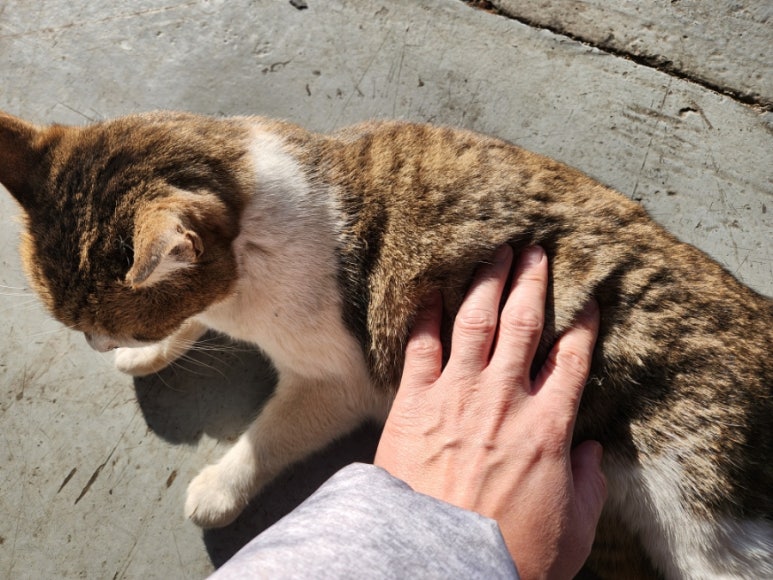 양남종합카 이미지