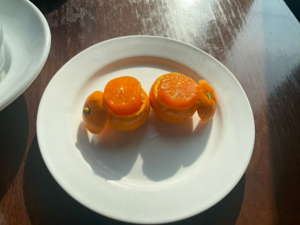 마레벤또 이미지