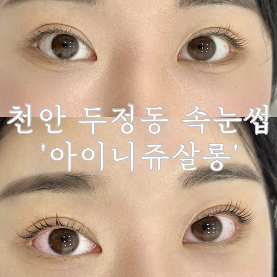 아이니쥬쌀롱 이미지