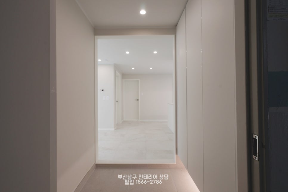대우화이트 이미지