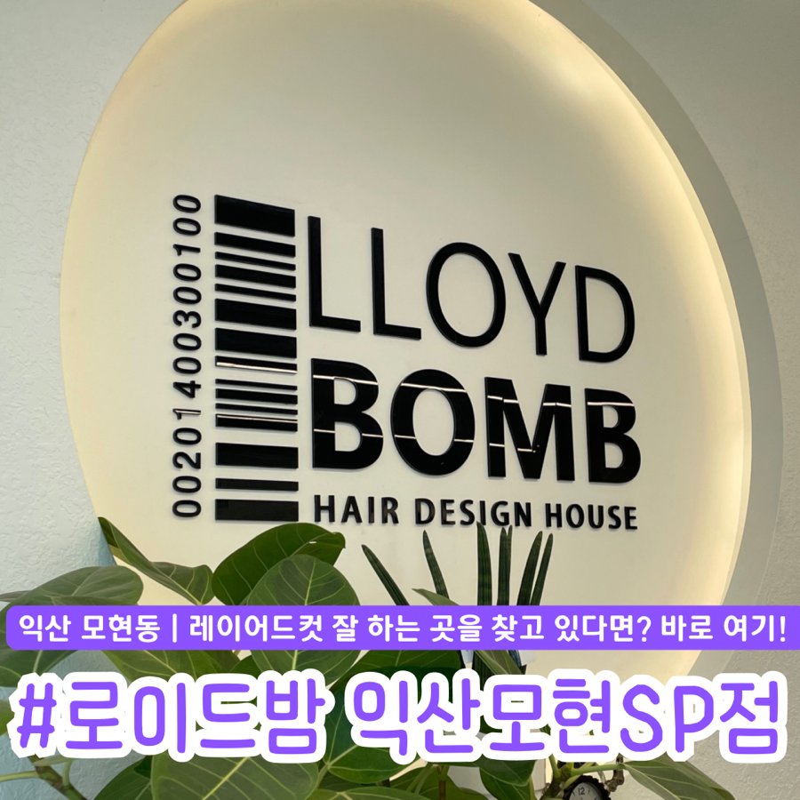 로이드밤익산 이미지