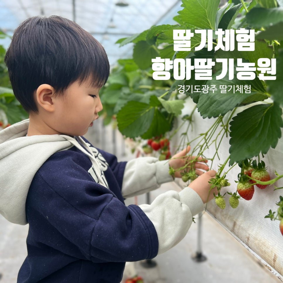 (주)향아 이미지