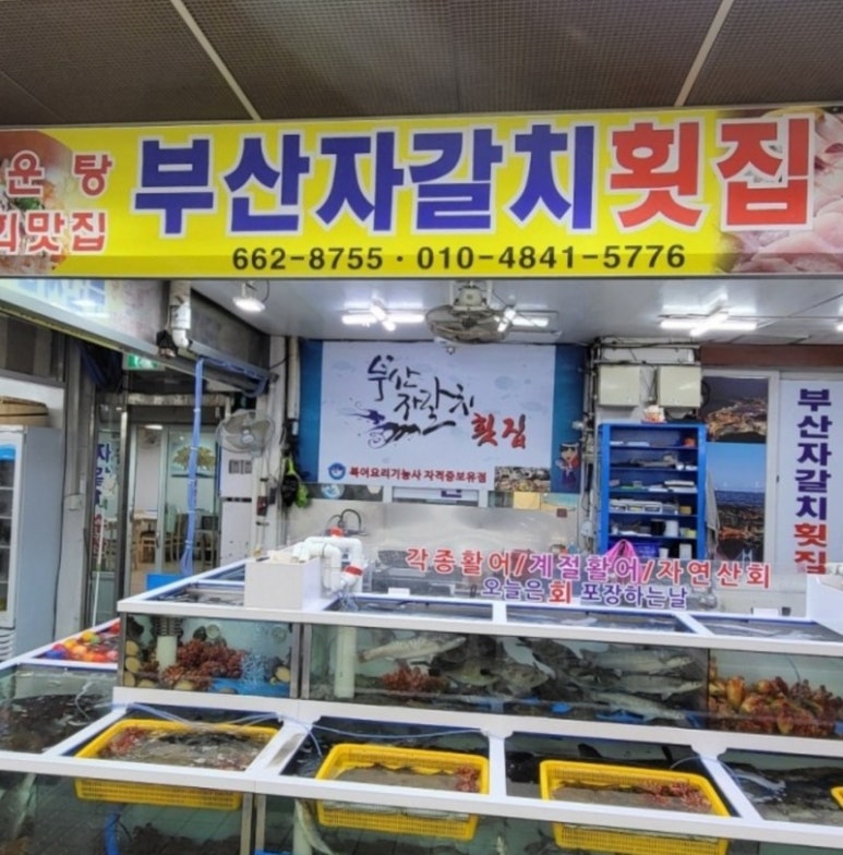 시장복어 이미지