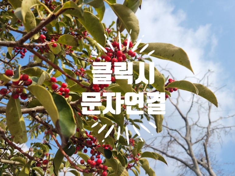 교촌 은평뉴타운점 이미지