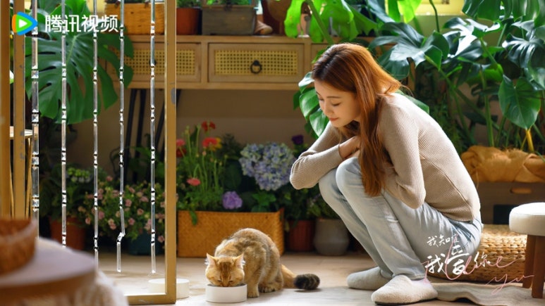 아지도루 이미지