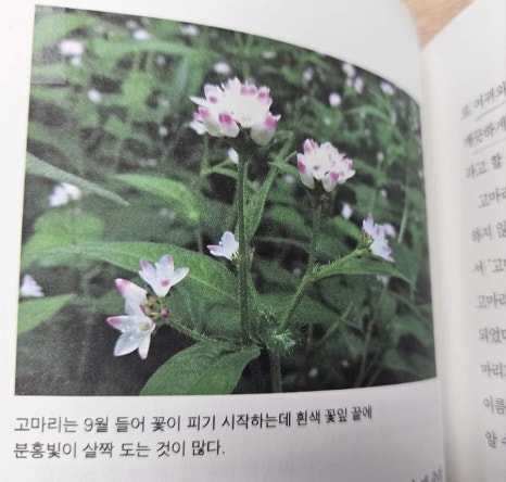 톨쉽북스토어 이미지
