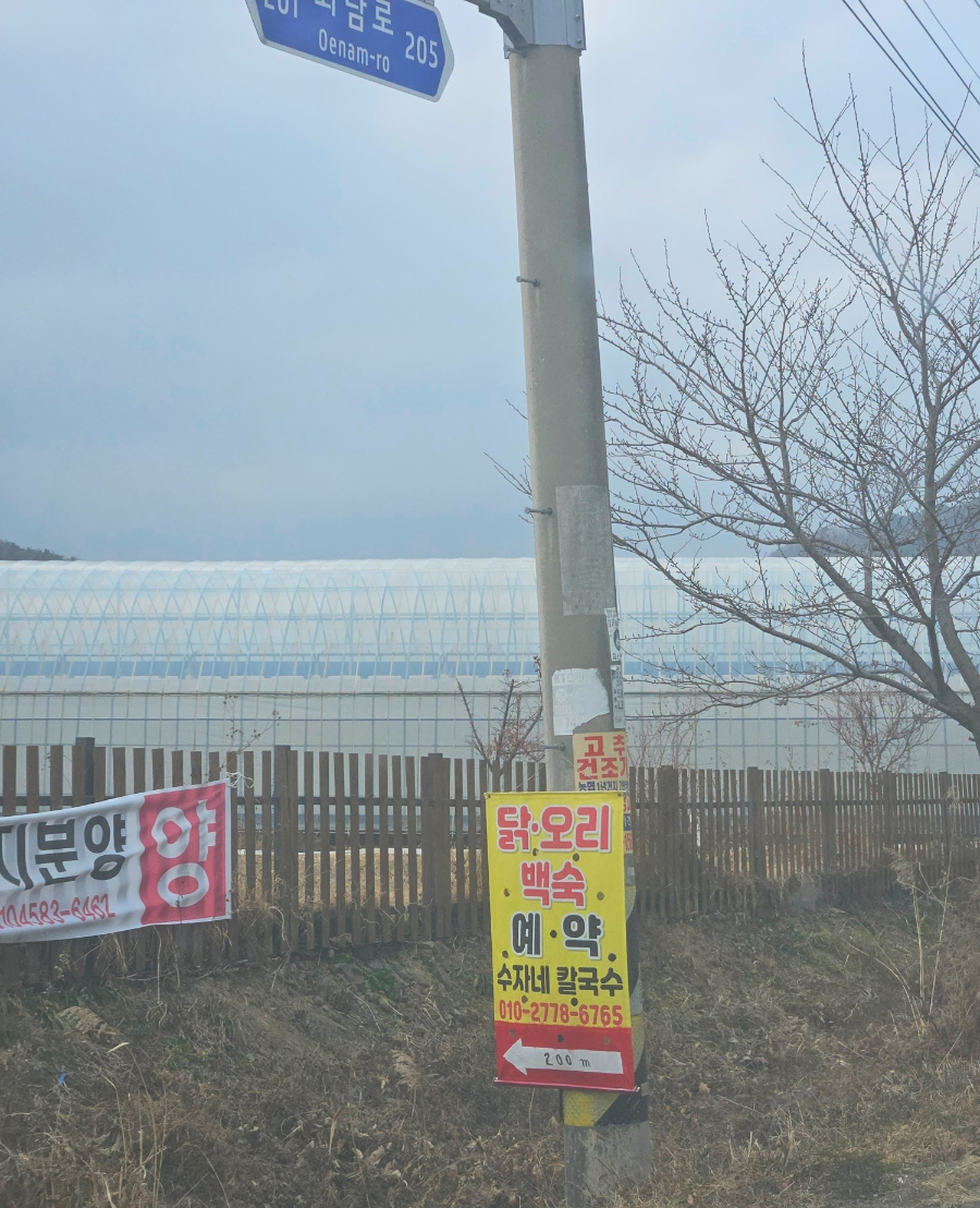 수자식당 이미지