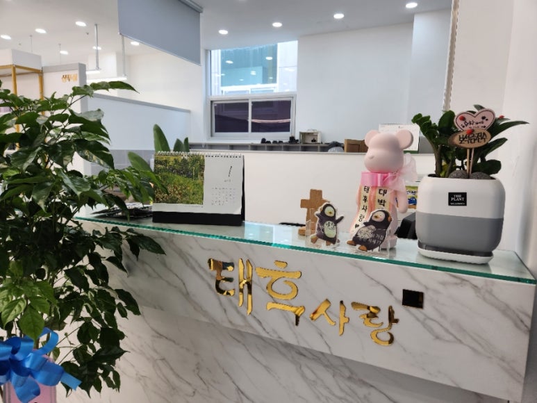 두피·탈모태후사랑하남점 이미지
