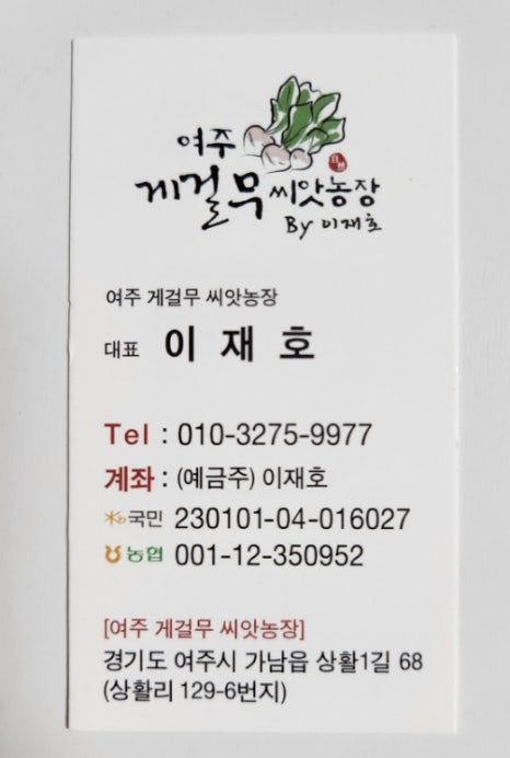 여주게걸무씨앗농장 이미지