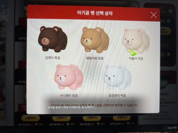 공일공사 이미지