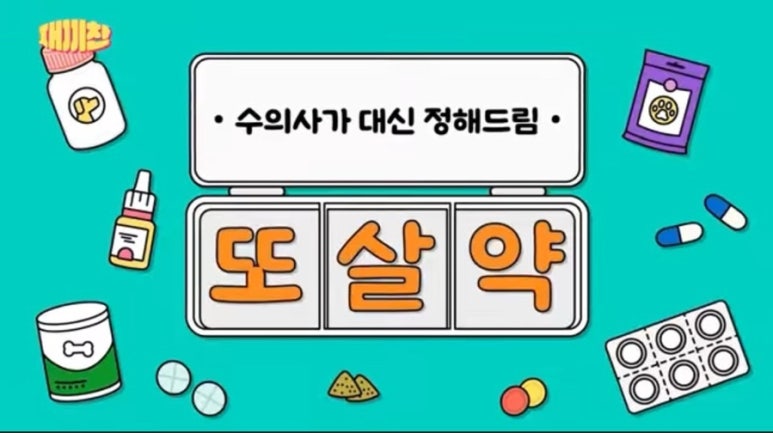버틀랩 이미지