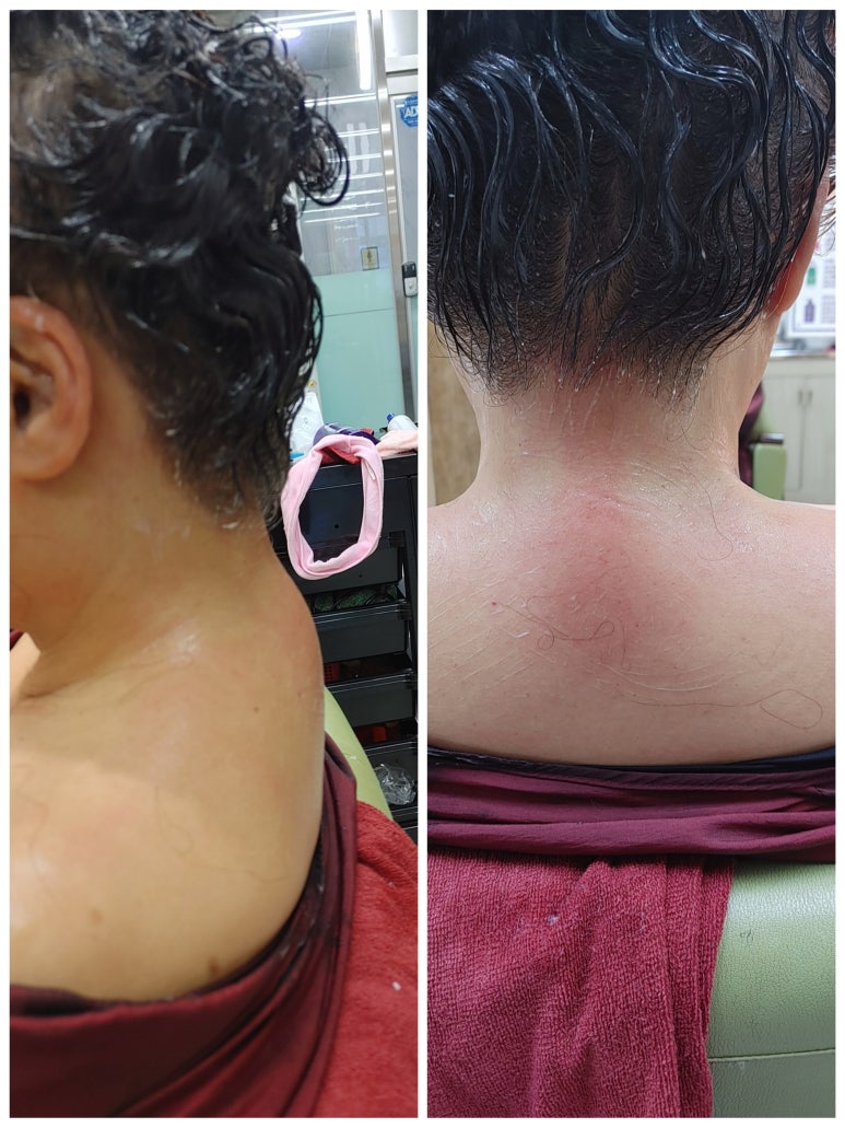 천연퀀즈헤나 이미지