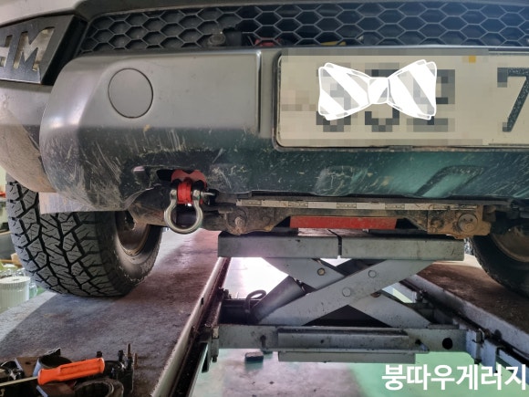 붕따우게러지 이미지
