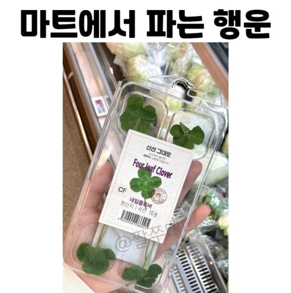 행운마트 이미지