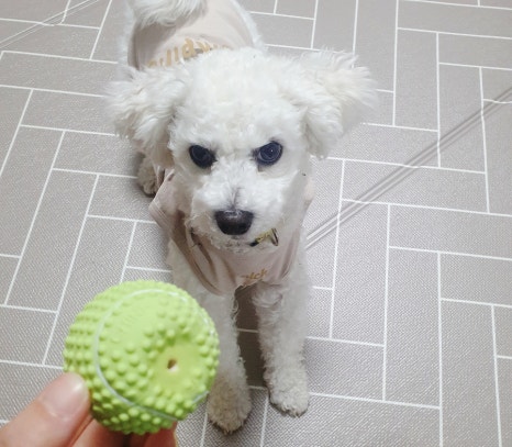로몽마켓 이미지