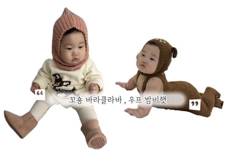꼬숑.ccoshong 이미지