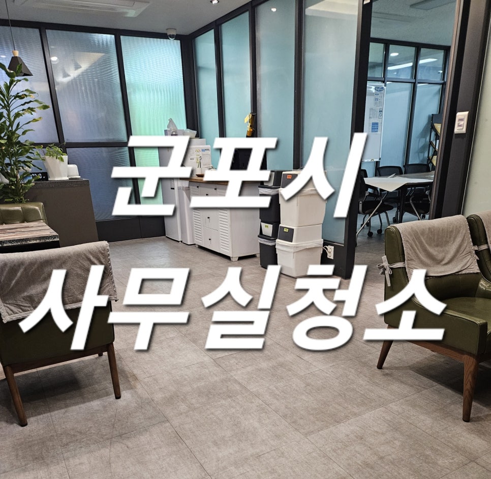 돌핀크린 이미지