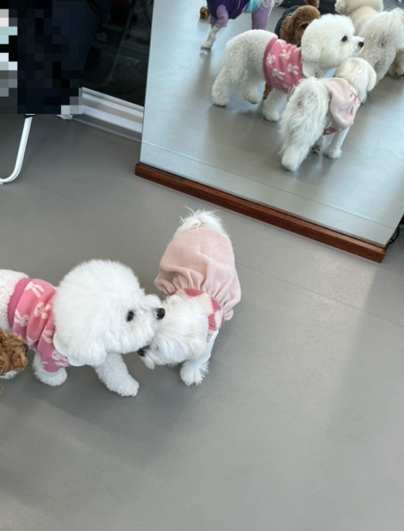Hey Bro(헤이브로) 이미지