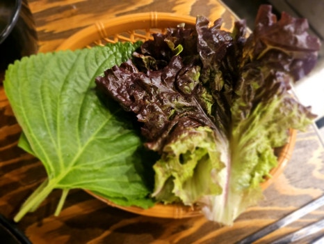설레족발 이미지