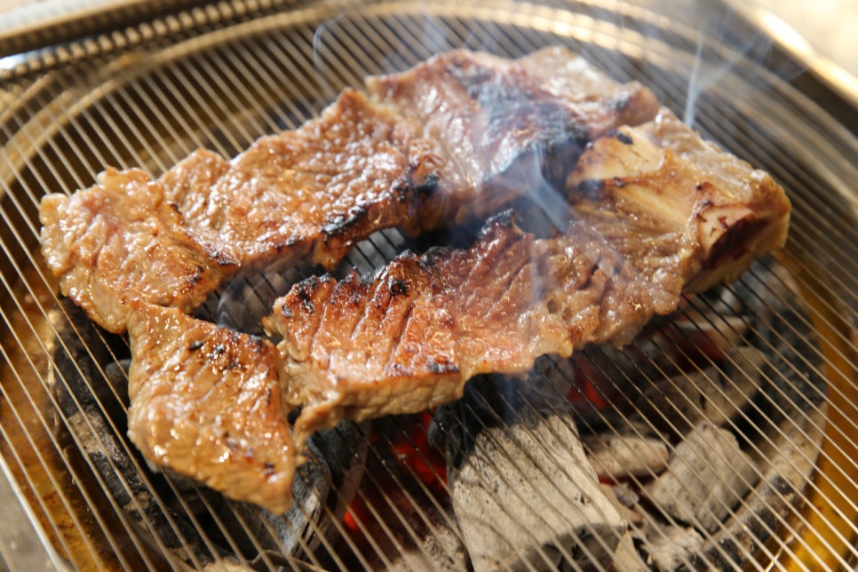 고집남창원 이미지
