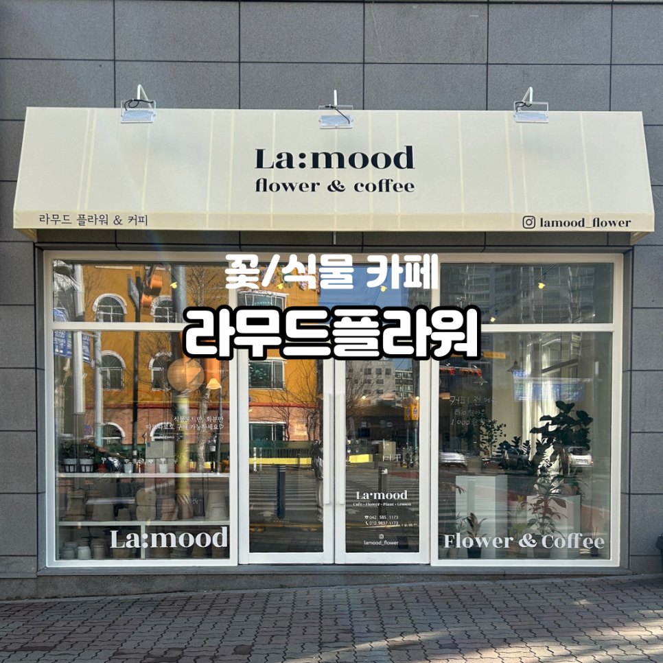 라무드플라워 이미지