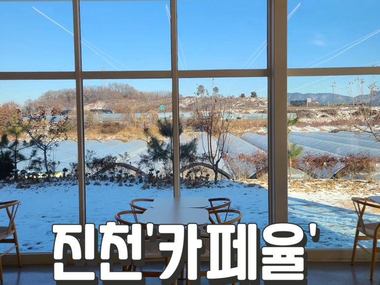 카페율 이미지