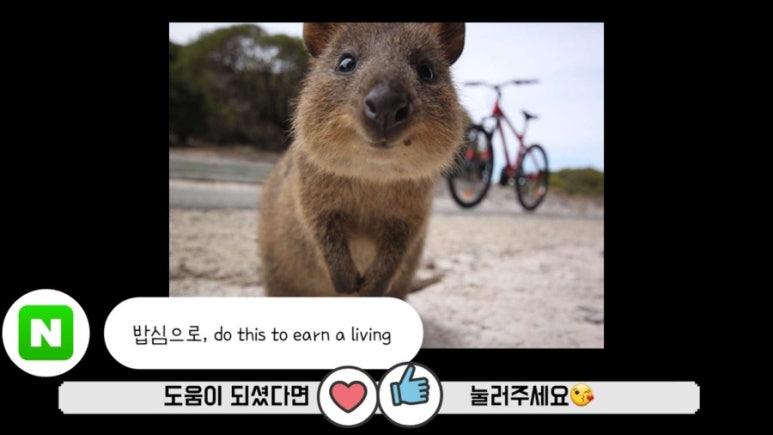 스파식육 이미지