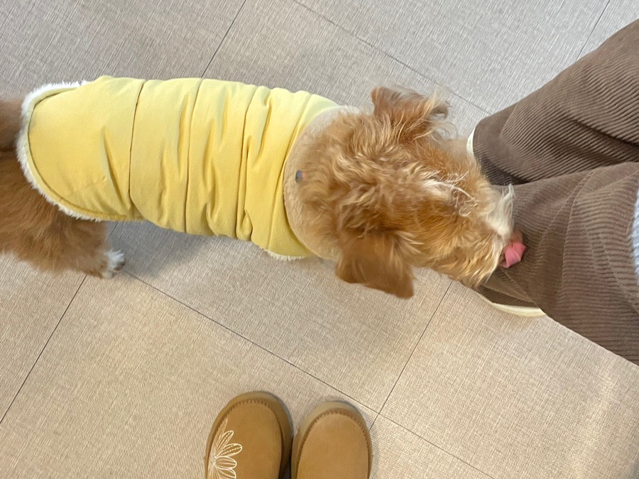 순영잡화점 이미지