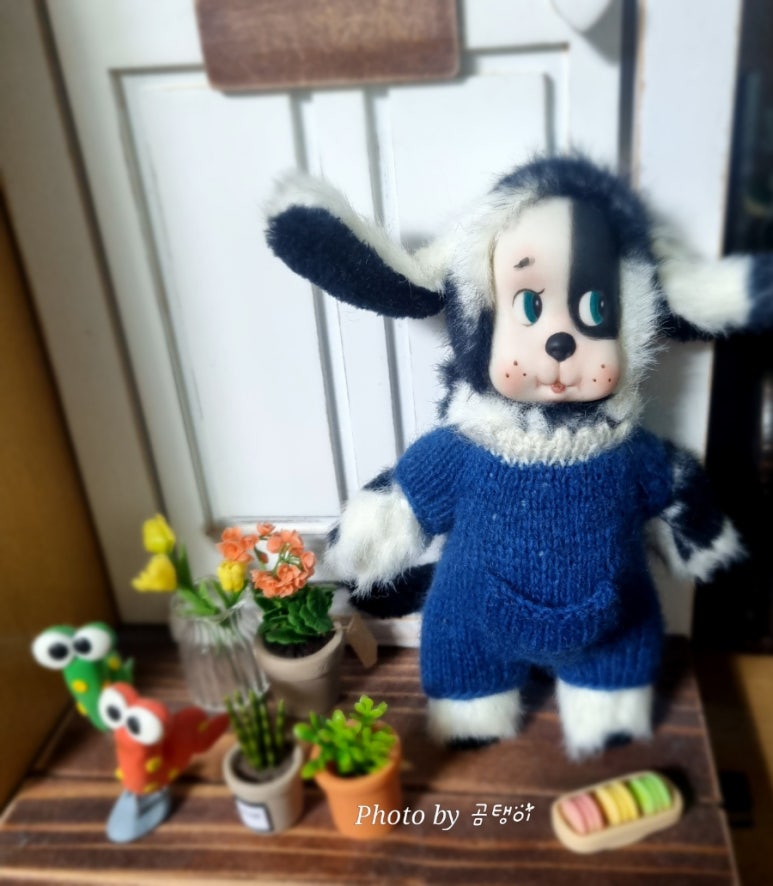 모디돌 이미지