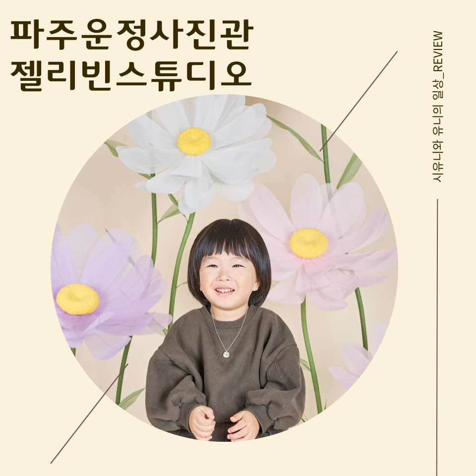 젤리빈스튜디오 이미지