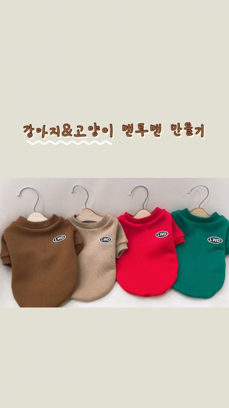 리윗독 이미지