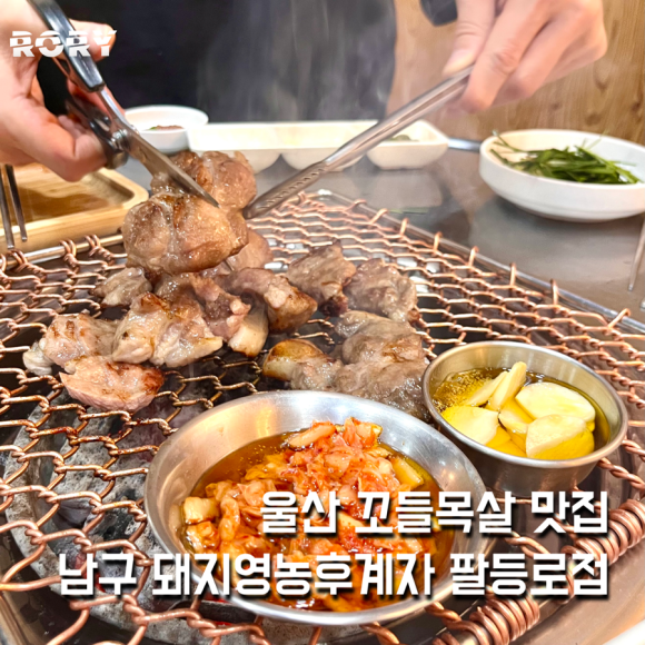 팔등로고깃집 이미지