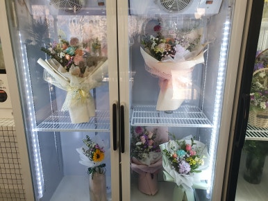 순애꽃방 이미지