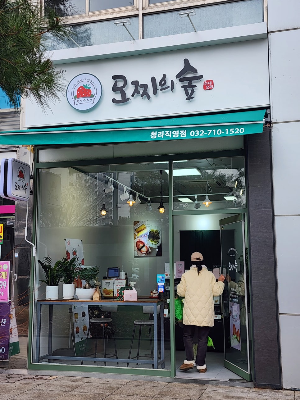 모찌의숲 이미지