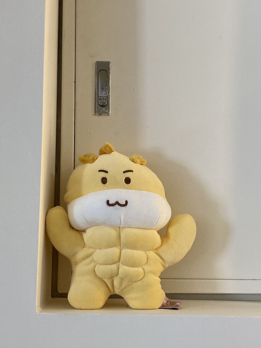 원데이피티 이미지