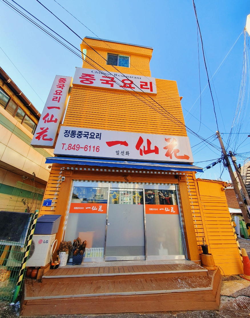 일선화 이미지