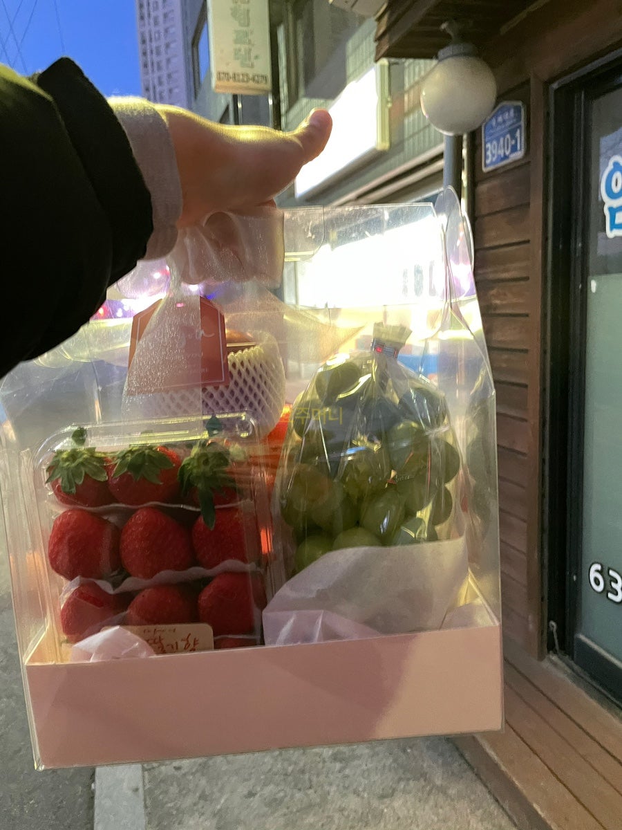 프룻보이 이미지