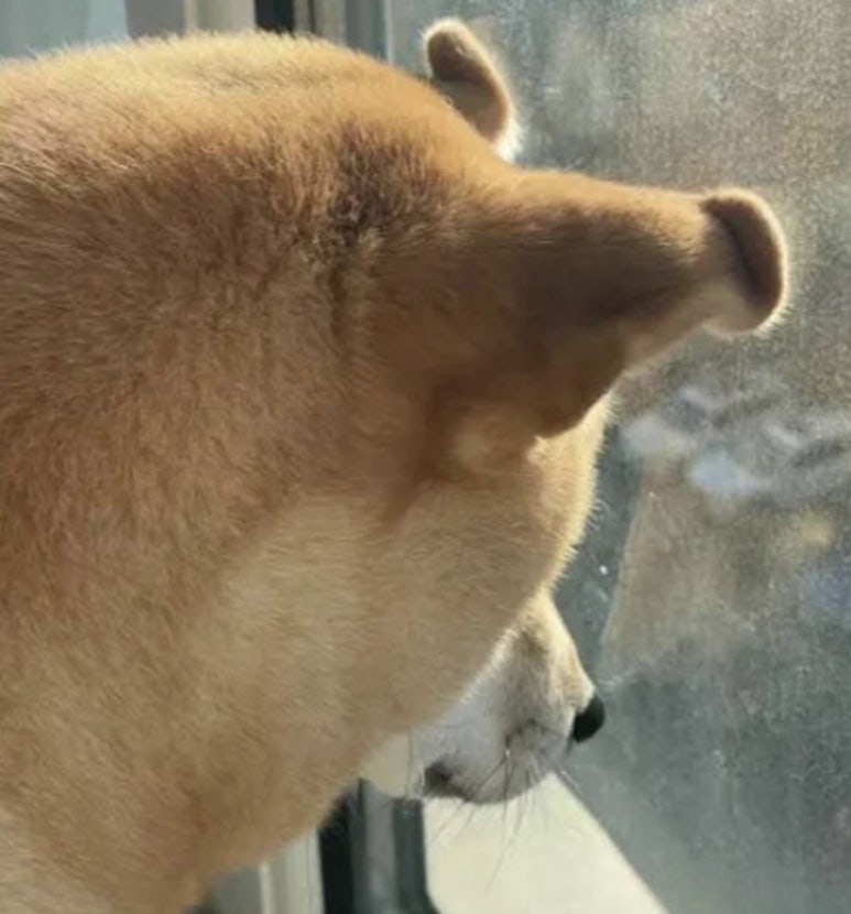 미식집 이미지