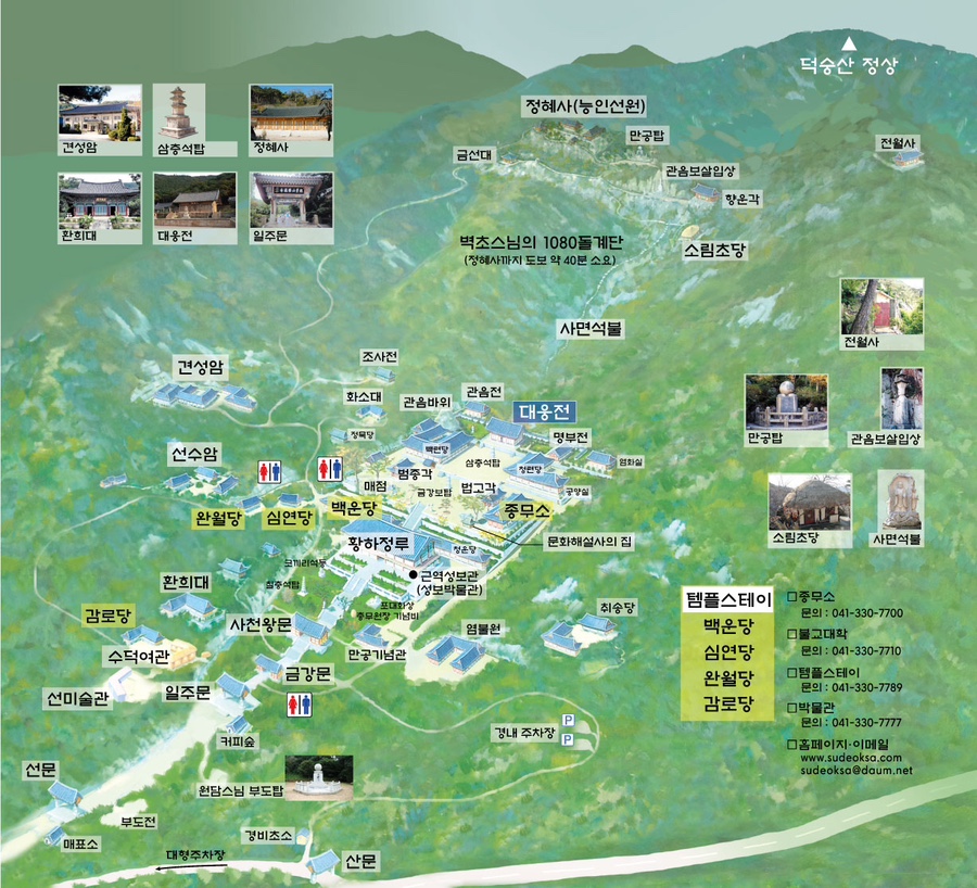 영숙이네 이미지