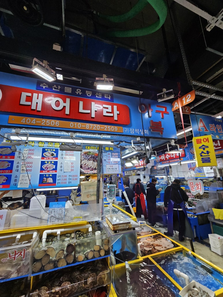대어나라 이미지
