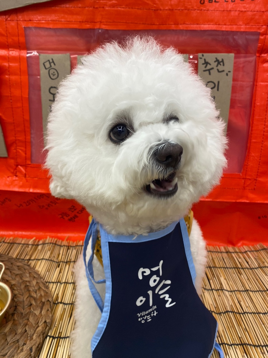 이모포차 이미지